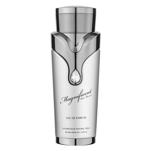 Armaf Magnificent Homme EDP kvepalai vyrams, 100 ml