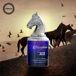 Armaf Bucephalus No. XII EDP kvepalai vyrams, 100 ml