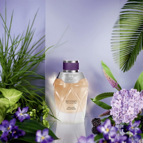 Bentley Mellow Heliotrope EDP unisex kvepalai, 100 ml