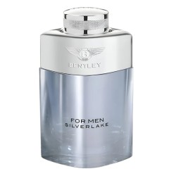 Bentley For Men Silverlake EDP kvepalai vyrams, 100 ml