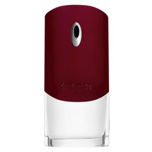 Givenchy Pour Homme EDT kvepalai vyrams, 100 ml