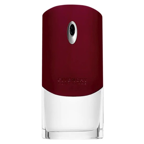 Givenchy Pour Homme EDT kvepalai vyrams, 100 ml
