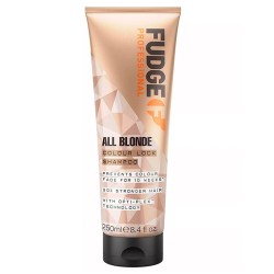Fudge All Blonde Color Lock Shampoo - Šampūnas šviesių plaukų atstatymui ir blizgesiui, 250 ml