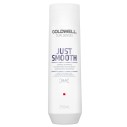 Goldwell Dualsenses Dualsenses Just Smooth (Taming Shampoo) 250 ml