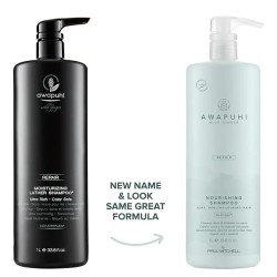 Paul Mitchell Awapuhi Wild Ginger Moisturizing Lather Shampoo - drėkinamasis šampūnas plaukams