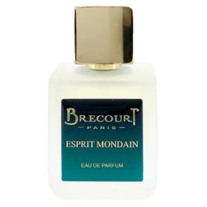 Brecourt Esprit Mondain EDP 50 ml kvepalai vyrams