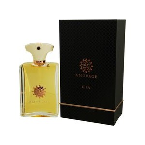 Amouage Dia pour Homme EDP 100 ml