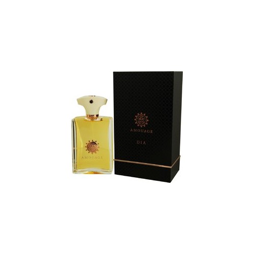 Amouage Dia pour Homme EDP 100 ml