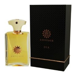 Amouage Dia pour Homme EDP 100 ml