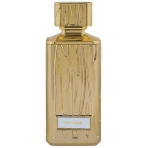 Hamidi Envy Gold EDP 100 ml kvepalai moterims
