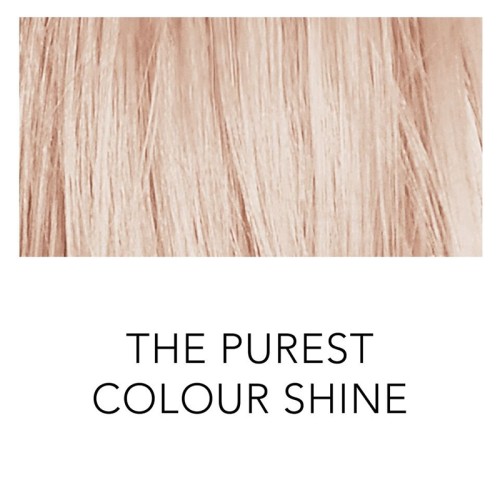 Sebastian Professional Cellophanes - plaukų dažai, 300 ml - Rose Blond