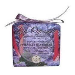 Nesti Dante Gli Officinali Soap Hydrangea & Rhubarb 200 ml