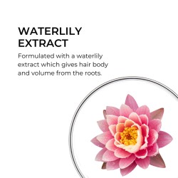 Phyto Professional Volume Volumizing Shampoo - apimties suteikiantis šampūnas, 500 ml