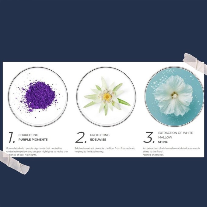 Phyto Professional Purple No Yellow Shampoo - violetinis šampūnas, neutralizuojantis geltonus