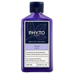 Phyto Professional Purple No Yellow Shampoo - violetinis šampūnas, neutralizuojantis geltonus