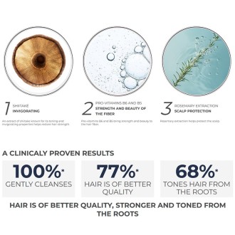 Phyto Professional Phytocyane Men Invigorating Shampoo - plaukų slinkimą stabdantis šampūnas 2