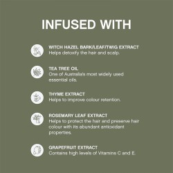 Kevin Murphy Maxi.Wash Detox Shampoo - detoksikuojantis šampūnas, 1000 ml