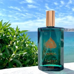 Aspen Aspen EDC odekalonas vyrams, 118 ml