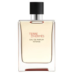 Hermes Terre D'Hermes Intense EDP kvepalai vyrams, 100 ml