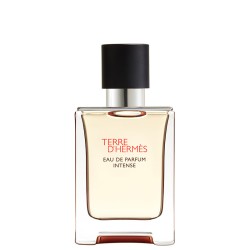 Hermes Terre D'Hermes Intense EDP kvepalai vyrams, 50 ml
