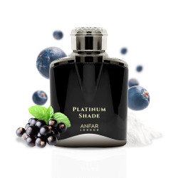 Anfar 1950 Platinum Shade EDP kvepalai vyrams, 100 ml