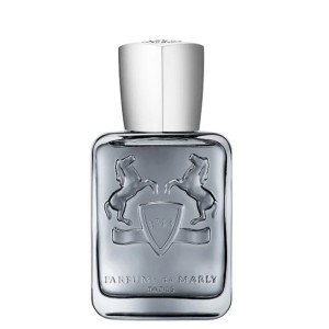 Parfums De Marly Castley EDP kvepalai vyrams, 75 ml