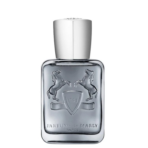 Parfums De Marly Castley EDP kvepalai vyrams, 75 ml