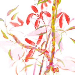 Sisley L'Eau Revée D'Aria EDT unisex kvepalai, 50 ml