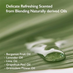 Haruharu Wonder Black Bamboo Mist - Hydrating facial mist 150 ml