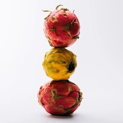 Loewe Solo Ella EDT kvepalai moterims, 50 ml