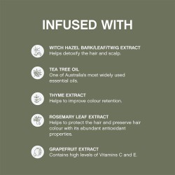 Kevin Murphy Maxi.Wash Detox Shampoo - detoksikuojantis šampūnas, 250 ml