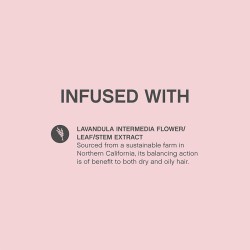 Kevin Murphy Anti Gravity Oil Free Volumiser - apimties ir tekstūros suteikiantis losjonas, 150 ml