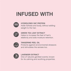 Kevin Murphy Angel Wash Shampoo - apimties suteikiantis šampūnas lūžinėjantiems ar dažytiems