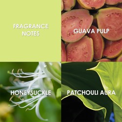 Britney Spears Believe EDP kvepalai moterims, 30 ml