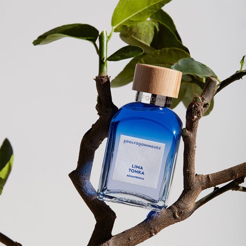 Adolfo Dominguez Agua Fresca Lima Tonka EDT kvepalai vyrams, 230 ml