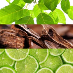 Lacoste Live pour Homme EDT (2022) Tester kvepalai vyrams, 75 ml