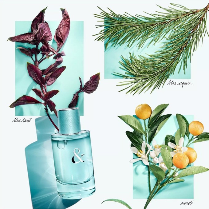 Tiffany and Co Tiffany & Love For Her EDP 90 ml kvepalai moterims