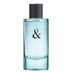 Tiffany and Co Tiffany & Love For Him EDT kvepalai vyrams, 90 ml