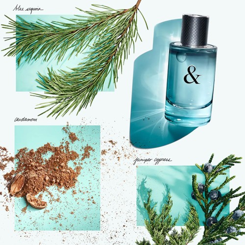 Tiffany and Co Tiffany & Love For Him EDT kvepalai vyrams, 90 ml