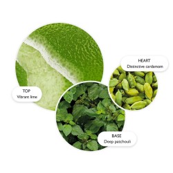 Molton Brown Lime & Patchouli Hand Lotion - rankų losjonas, 300 ml