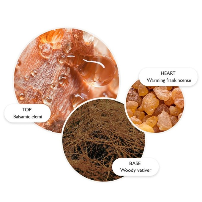 Molton Brown Festive Frankincense & Allspice Hand Lotion - rankų kremas, 300 ml