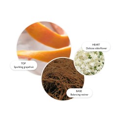 Molton Brown Vintage Elderflower Hand Lotion - rankų losjonas, 300 ml