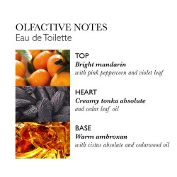 Molton Brown Neon Amber Body Lotion - kūno losjonas, 300 ml