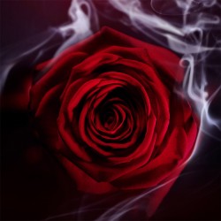 Bvlgari Garanat EDP 125 ml kvepalai vyrams