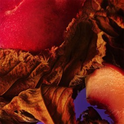 Bvlgari Allegra Fantasia Veneta EDP kvepalai moterims, 100 ml