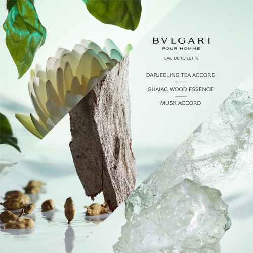 Bvlgari pour Homme EDT kvepalai vyrams, 100 ml