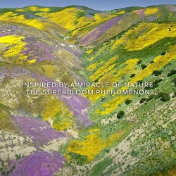 Guerlain Aqua Allegoria Florabloom EDT kvepalai moterims, 75 ml