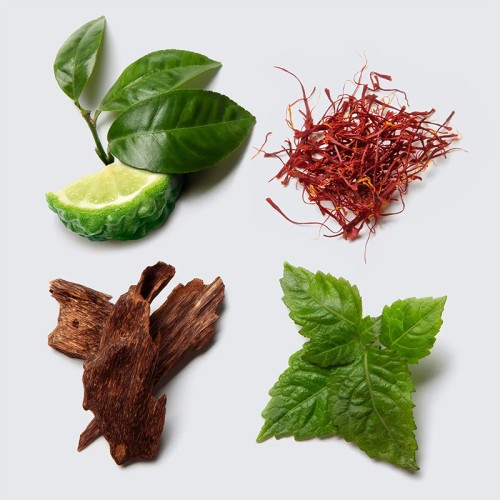 Brioni EDP Intense kvepalai vyrams, 100 ml