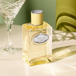 Prada Infusion de Gingembre EDP unisex kveplai, 100 ml