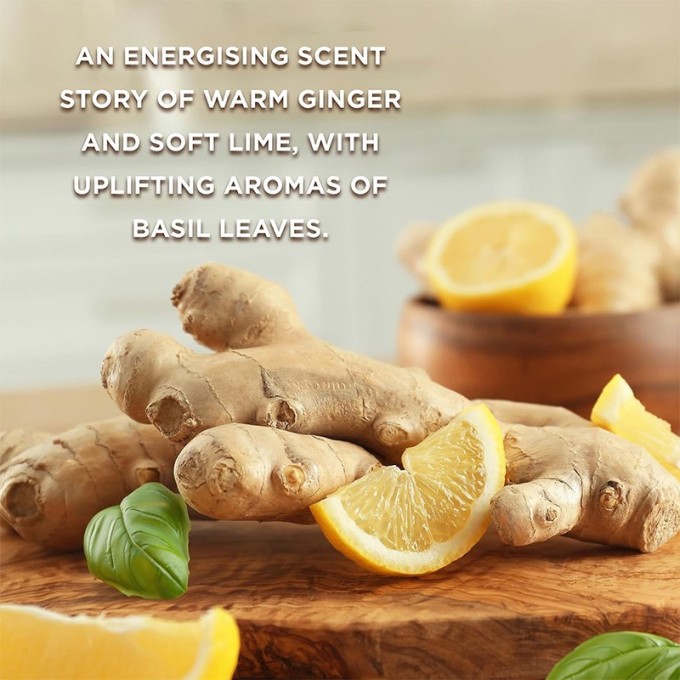 Baylis & Harding Wellness Energise Gift Set (Ginger, Lemon & Basil) - dovanų rinkinys